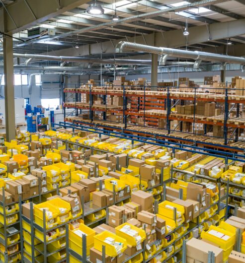 DMS Delivery Management System - Rayonnance