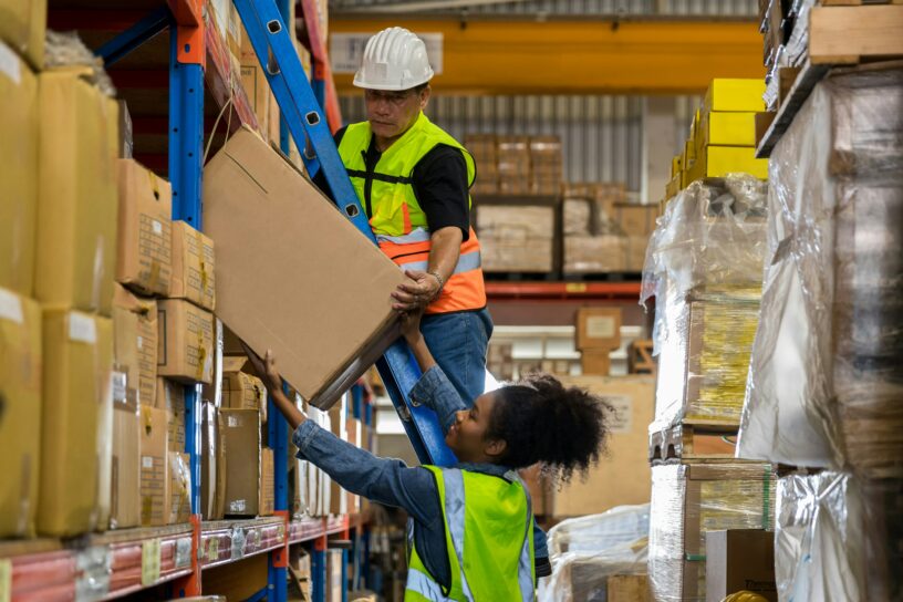 TMS ou DMS : Quel levier activer pour optimiser votre chaîne de transport ?